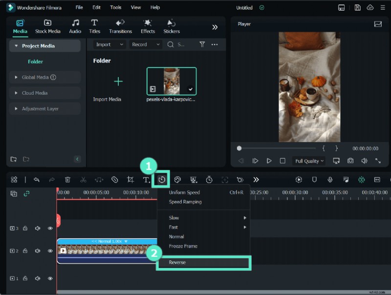 Video omkeren in DaVinci Resolve:zelfstudie en beste alternatieven 