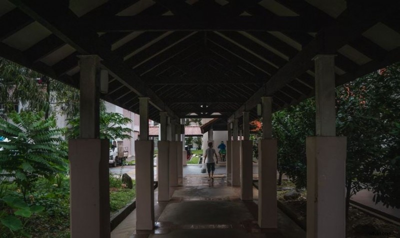 Gratis Lightroom LUT s:download en verbeter uw foto s - een complete gids 