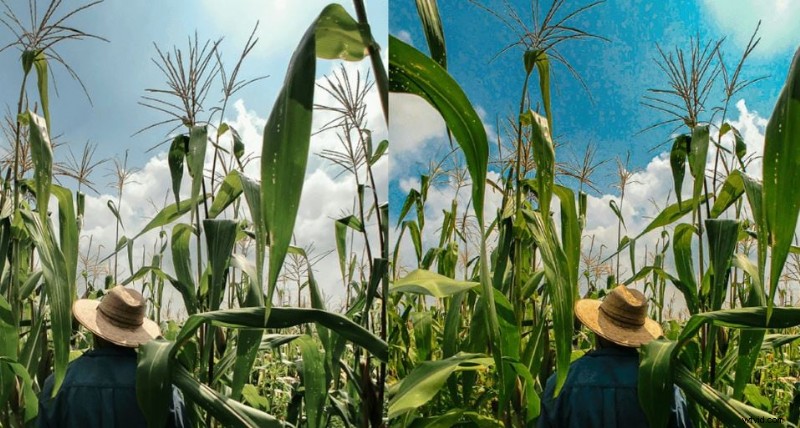 Gratis Lightroom LUT s:download en verbeter uw foto s - een complete gids 