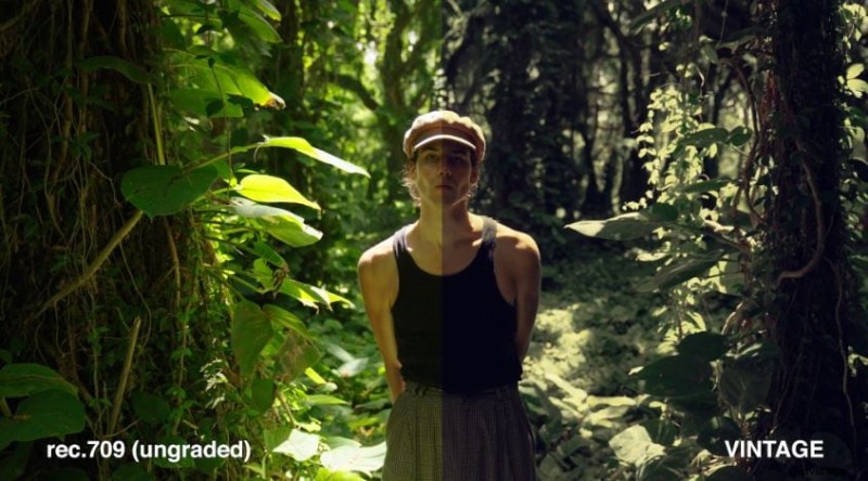 Mistr Danny Gevirtz LUTs:Profesionální průvodce tříděním barev s Filmora 