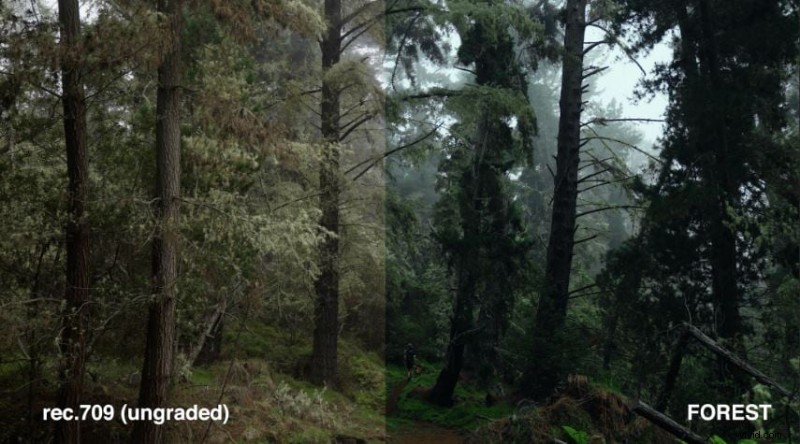 Mistr Danny Gevirtz LUTs:Profesionální průvodce tříděním barev s Filmora 