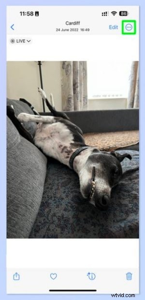 Converteer live foto s naar video s:een eenvoudige handleiding met tips van experts 