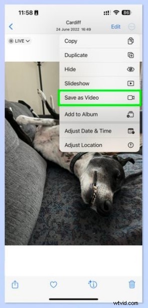 Converteer live foto s naar video s:een eenvoudige handleiding met tips van experts 