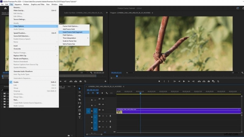 Beste video-editors voor het creëren van verbluffende Freeze-Frame-effecten 