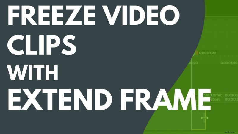 Master Camtasia Freeze Frames:Komplexní průvodce rozšířením videomomentů 