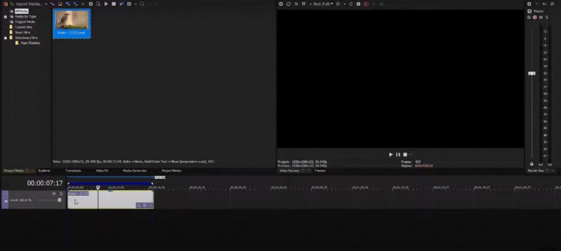 Master Freeze-Frame-bewerking in SonyVegas:stapsgewijze handleiding 