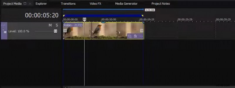 Master Freeze-Frame-bewerking in SonyVegas:stapsgewijze handleiding 