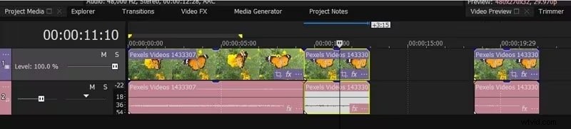 Master Freeze-Frame-bewerking in SonyVegas:stapsgewijze handleiding 