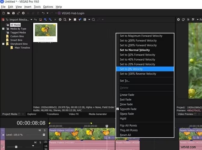 Master Freeze-Frame-bewerking in SonyVegas:stapsgewijze handleiding 