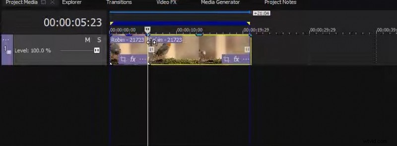 Master Freeze-Frame-bewerking in SonyVegas:stapsgewijze handleiding 