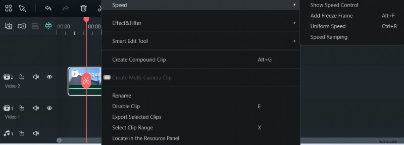 Master Freeze-Frame-bewerking in SonyVegas:stapsgewijze handleiding 