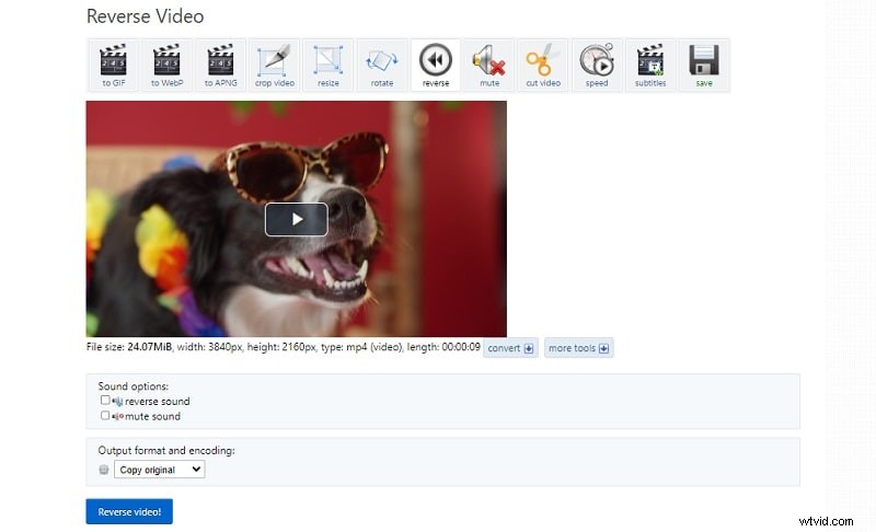 Reverse Video op Instagram:een uitgebreide gids voor 2024 