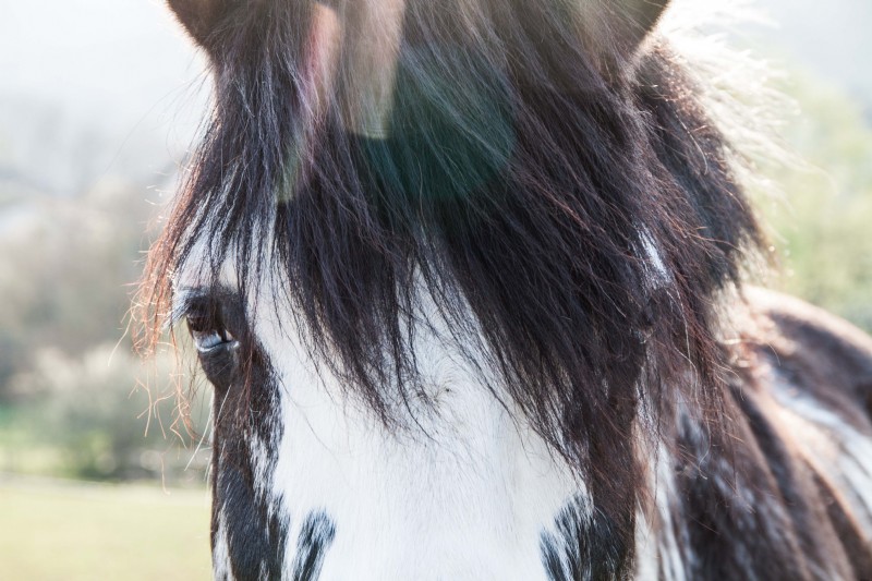 Chromatische aberratie verwijderen in Lightroom:een uitgebreide handleiding 