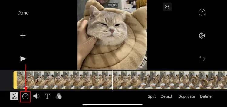 Versnel iPhone-video s:eenvoudige methoden en apps - [jaar] 