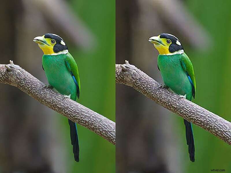 Videobestanden comprimeren:grootte verkleinen zonder kwaliteitsverlies - [Jaar] 