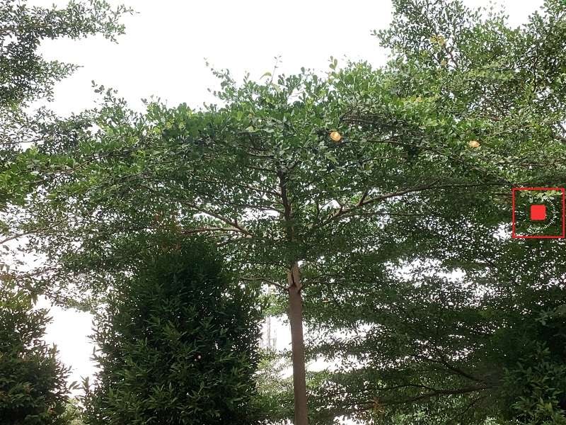 Zrychlete videa na iPadu:Komplexní průvodce 