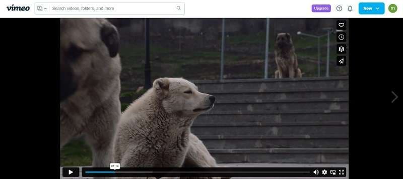 Geef uw Vimeo-ervaring een boost:3 eenvoudige manieren om de afspeelsnelheid te verhogen 