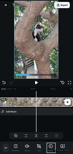 Versnel MP4-video s:tools en methoden voor pc, mobiel en online 