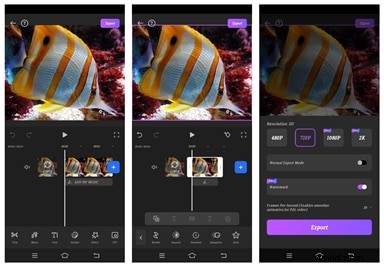 Moeiteloos video s splitsen:topsoftware voor alle apparaten 