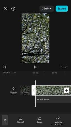 CapCut Slow-Motion-tutorial:creëer eenvoudig filmische effecten 