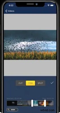 Beste AVI-videosnijders:eenvoudig trimmen en bewerken 