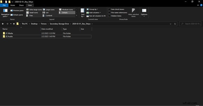 Zabezpečené video:Průvodce zálohováním a organizací pro odborníky 