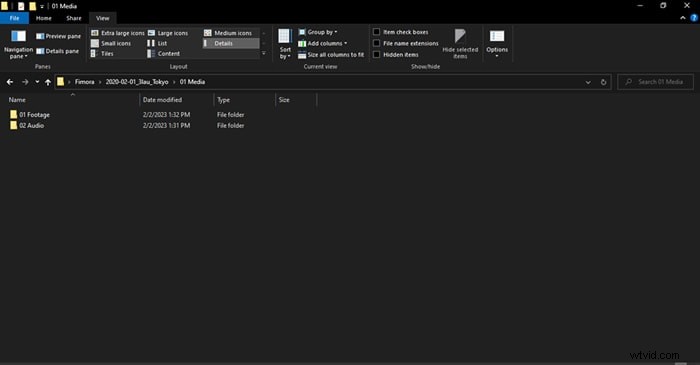 Zabezpečené video:Průvodce zálohováním a organizací pro odborníky 