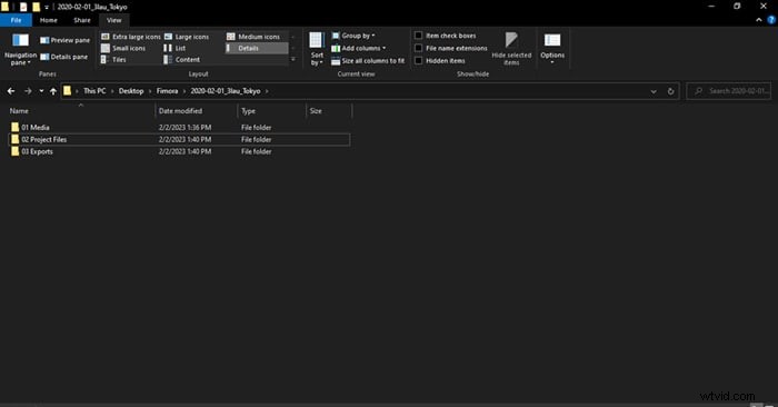 Zabezpečené video:Průvodce zálohováním a organizací pro odborníky 