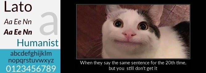 Ultieme gids voor het toevoegen van memetekst aan video:tips van experts voor professionele ondertiteling 