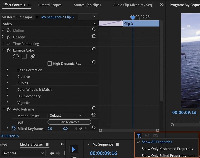 Mastervideo-overlay in Premiere Pro:professionele stapsgewijze handleiding 