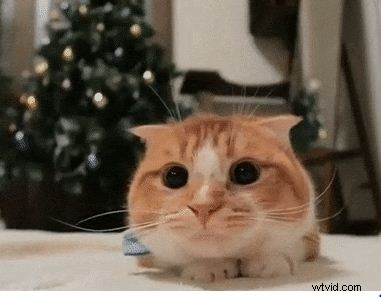 Konečný průvodce nejlepšími webovými stránkami GIF a jak vytvořit úžasné GIFy 