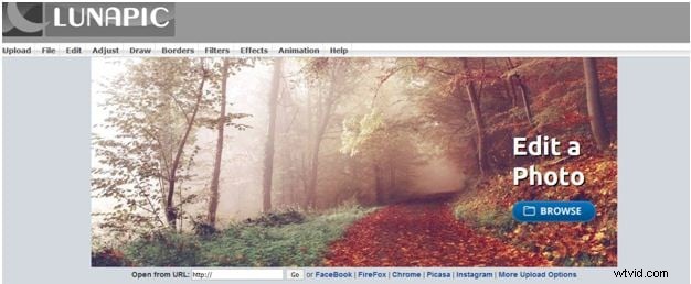Konečný průvodce nejlepšími webovými stránkami GIF a jak vytvořit úžasné GIFy 