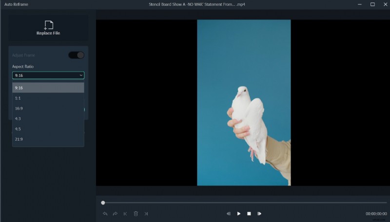 Wondershare Filmora:bereken en pas de beeldverhouding van video eenvoudig online aan 