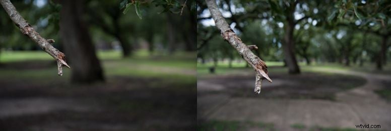 Video:6 základních tipů pro pořizování úžasných makro videí 