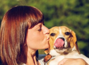 Padroneggia la fotografia a lunga esposizione su iPhone (iOS 11 e versioni precedenti) 