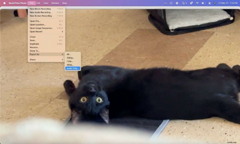 Estrai audio da file MOV:una guida completa per Windows, Mac e dispositivi mobili 