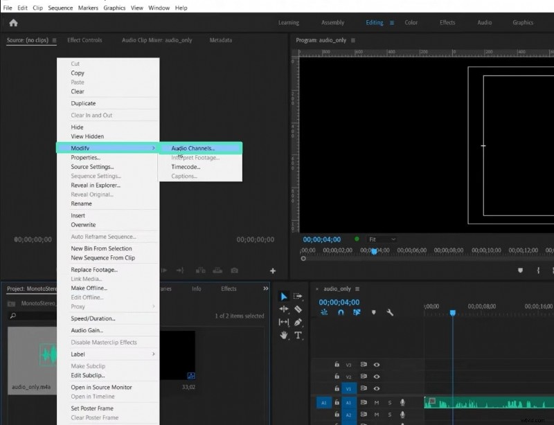 Guida 2026:conversione dell audio mono in stereo in Premiere Pro 