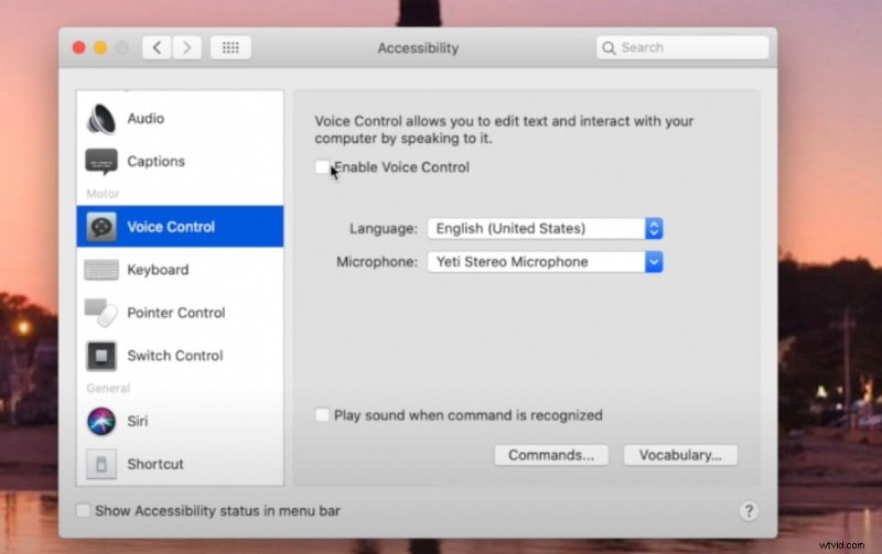 Riconoscimento vocale Apple nel 2026:guida all installazione e principali strumenti di terze parti 