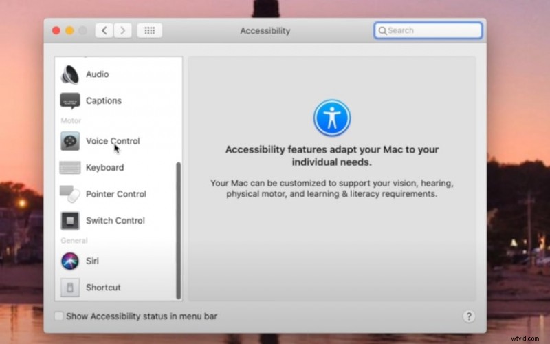 Riconoscimento vocale Apple nel 2026:guida all installazione e principali strumenti di terze parti 