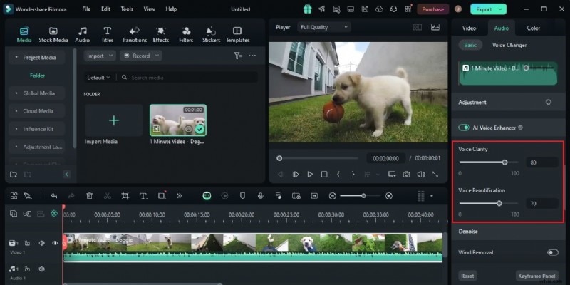 DFX Audio Enhancer Volledige recensie:functies, voordelen en alternatieven 