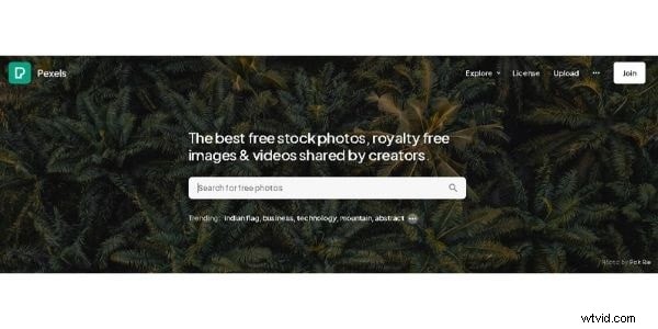 Pexels.com:uw uitgebreide gids voor gratis media met hoge resolutie 