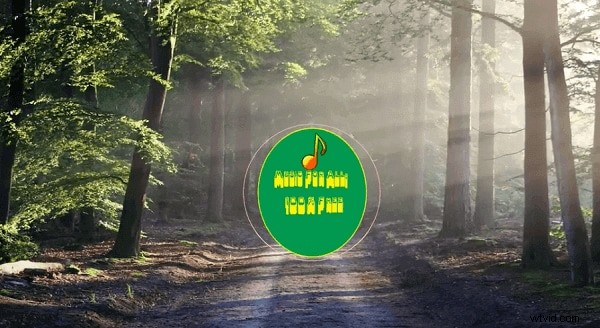 15 beste royaltyvrije nummers voor verbluffende montagevideo s – Veilige, auteursrechtvrije muziekdownloads 