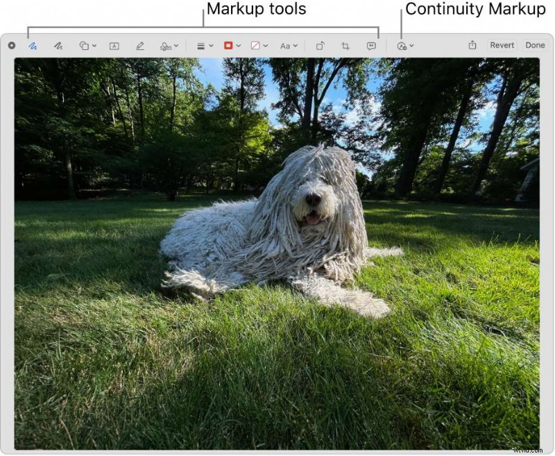 Top 8 tools voor livestreamopname:leg uw streams vast en bewaar ze 