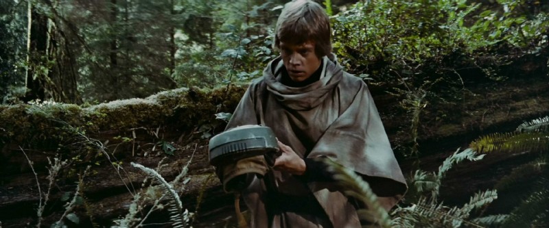 Kleurenschema s in film:definitie, theorie en visuele impact - FilmDaft 