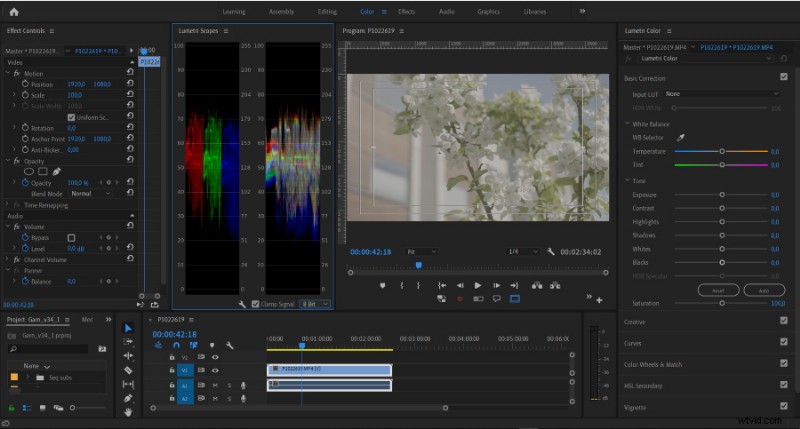 Kleurruimte gedemystificeerd:Rec. 709, DCI‑P3, Rec. 2020, en ACES – Een praktische gids 