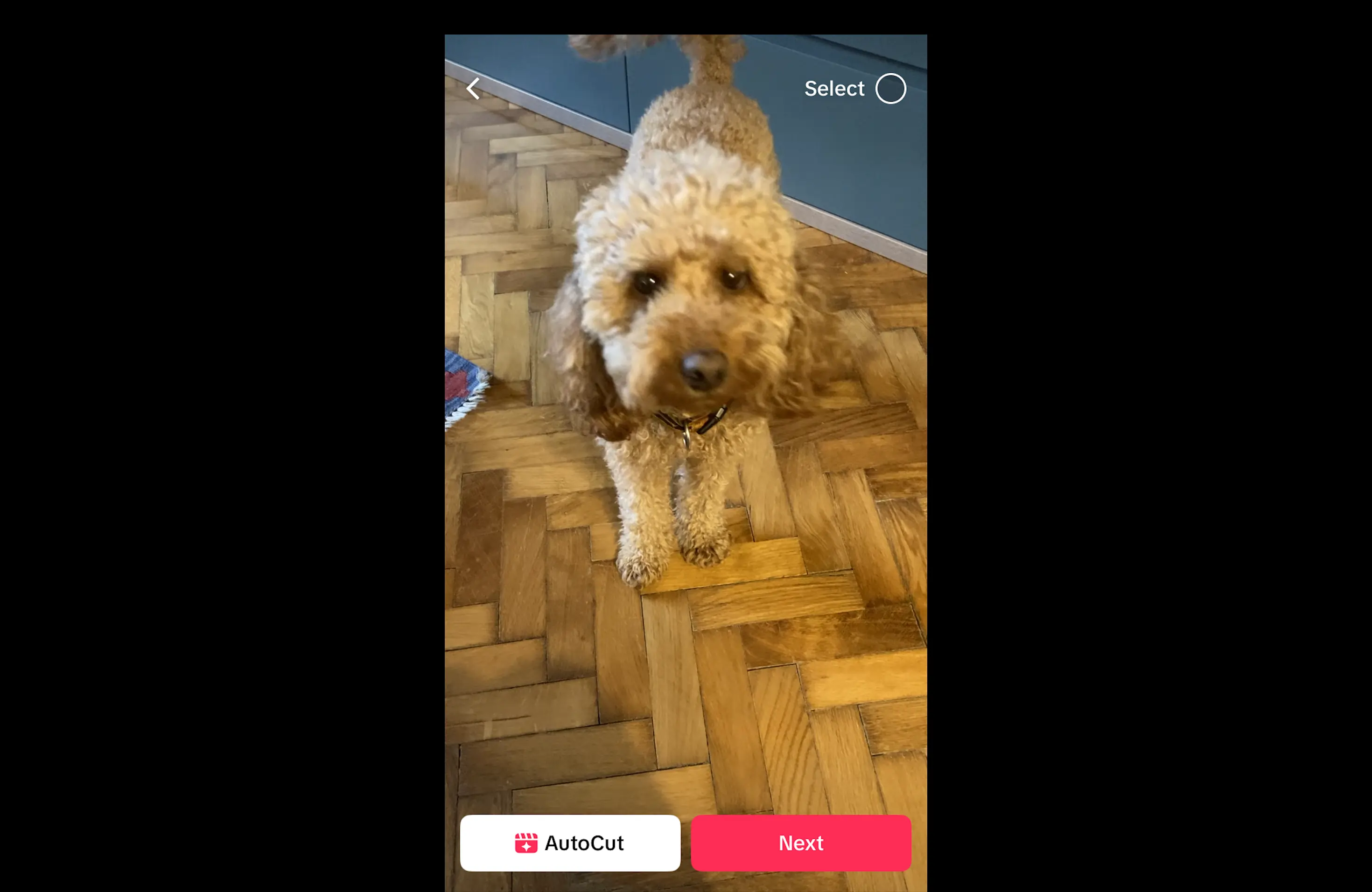 Editing video TikTok:una guida completa al taglio, agli effetti e all ottimizzazione