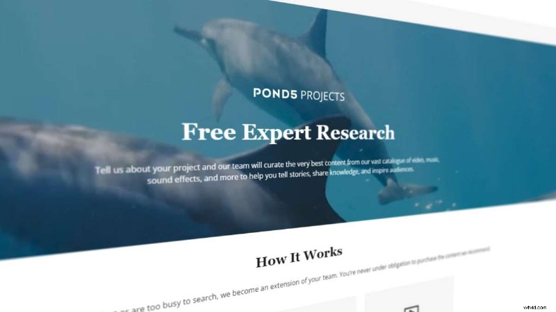 Pond5-filters beheersen:vind snel de perfecte aandelen 