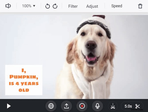 Maak binnen enkele minuten online een professionele videodub – gratis en eenvoudig