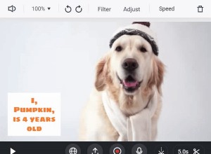 Utwórz profesjonalny dub wideo online w kilka minut – bezpłatnie i łatwo 