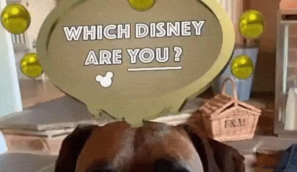 Ontdek je Disney-persona:hoe gebruik je Instagram s  Welk Disney-personage ben jij?  Filteren 